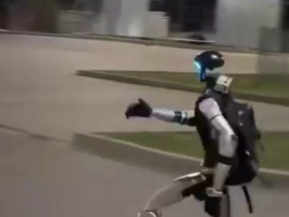 Robot lovio krdo divljih svinja usred Varšave