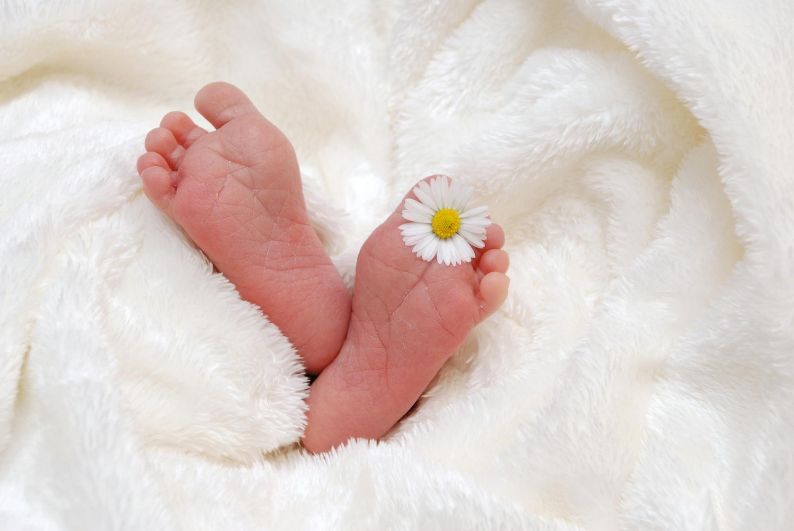 1.000 KM novčane pomoći porodiljama za novorođeno dijete u FBiH