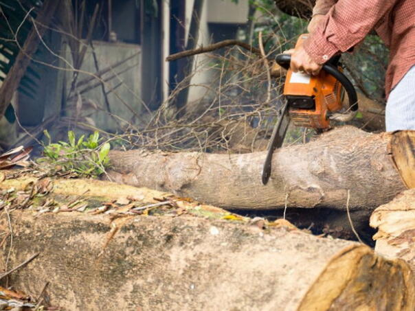22-godišnjak povrijeđen u sječi šume na planini Bitovinji