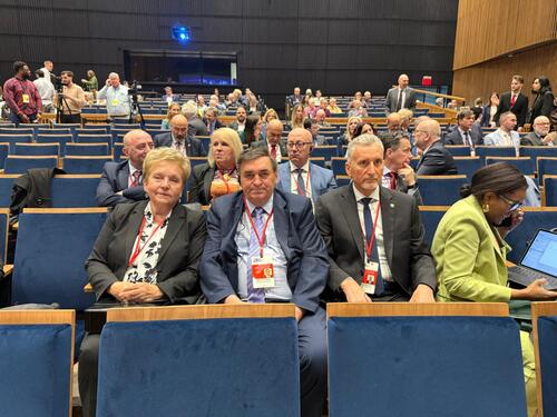 Ademović, Pendeš i Petrović na proljetnom zasjedanju PSNATO-a u u Daytonu