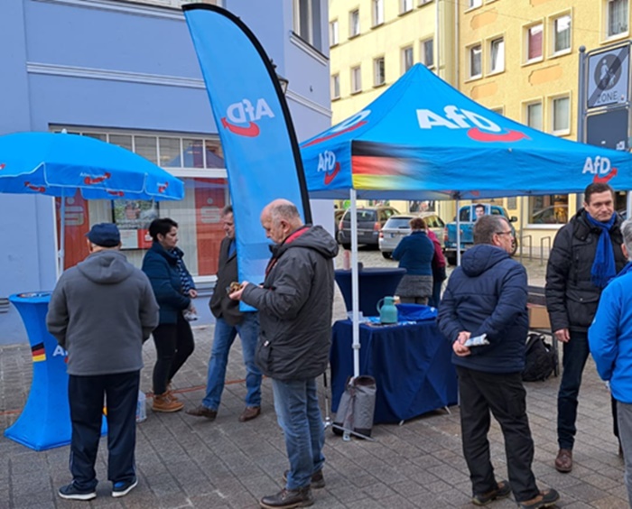 AfD 'pala' na svom prvom izbornom ispitu