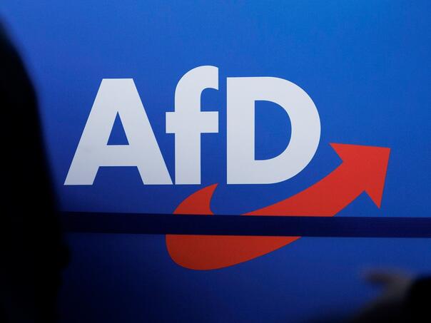 AfD predlaže 'novu Evropsku zajednicu' bez eura i EU-a