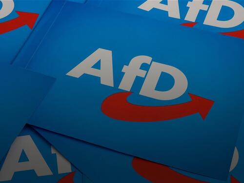 AfD vodi u anketama pred izbore u Brandenburgu