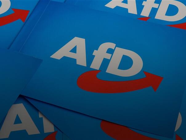 AfD vodi u anketama pred izbore u Brandenburgu