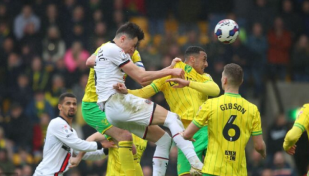 Ahmedhodžić jedan od najboljih u pobjedi Sheffielda