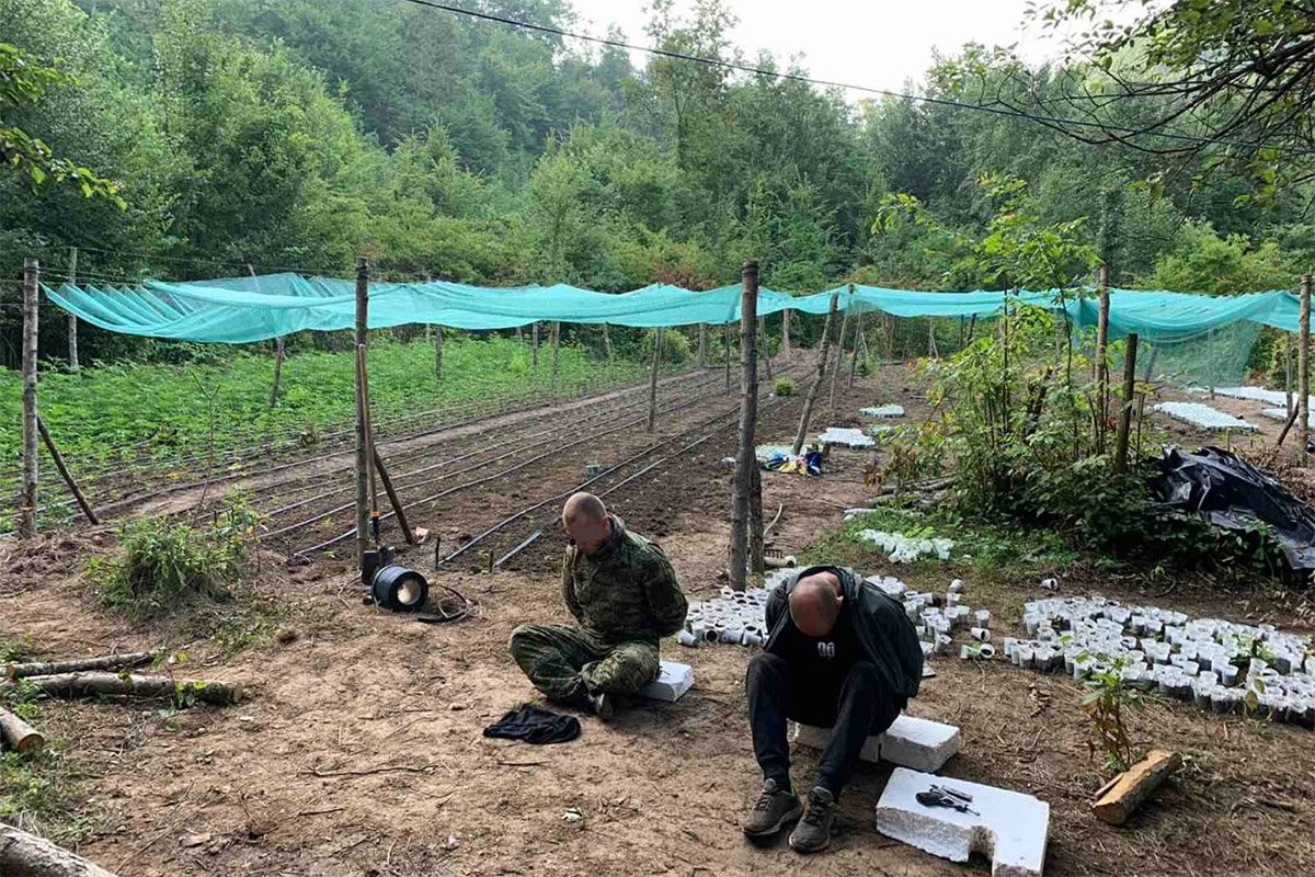 Akcija "Eskobar: Zbog droge osuđeni na 22 i po godine robije