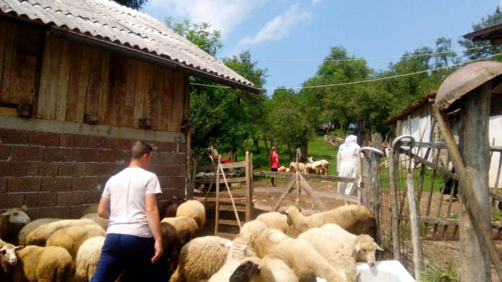 Akcija 'Kurbani' doprinosi održivom povratku Bošnjaka