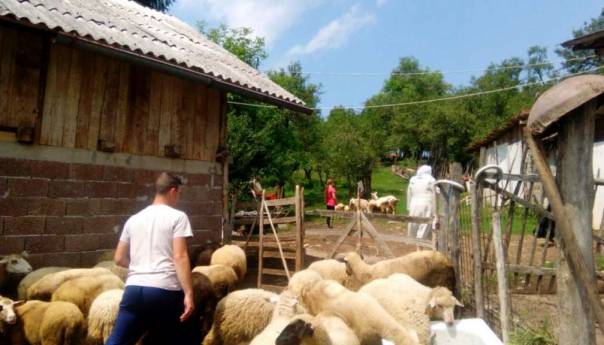 Akcija 'Kurbani' doprinosi održivom povratku Bošnjaka