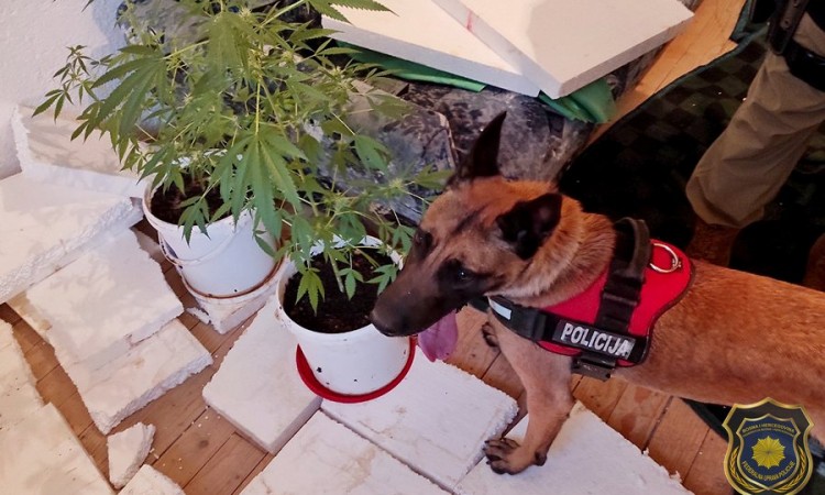 Akcija 'Mars': Slobode lišena jedna osoba