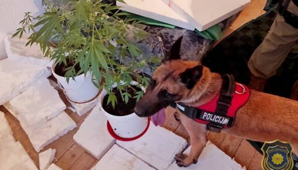 Akcija 'Mars': Slobode lišena jedna osoba