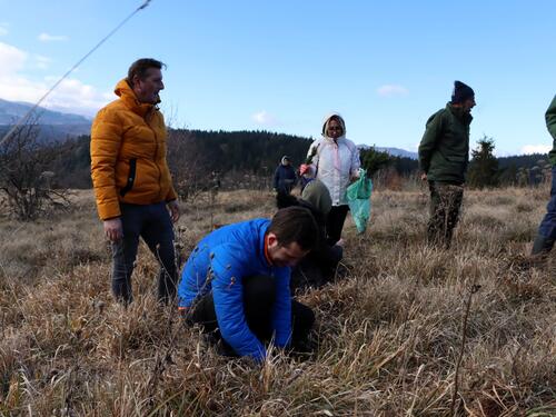 Akcija pošumljavanja na Igmanu: Novih 500 stabala