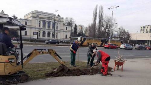 Akcijom sadnje drveća Sarajevo se priključuje 'Unsmoke' inicijativi
