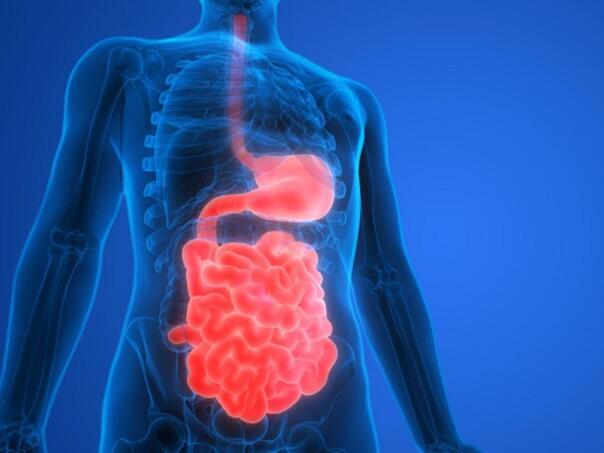 Ako imate problema sa zdravljem crijeva, izbjegavajte 4 dodatka prehrani