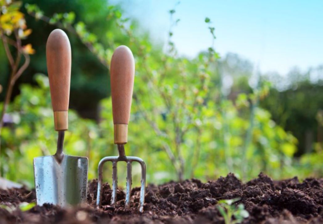 Ako ovo uradite u januaru, vrt će vam na proljeće eksplodirati od rasta
