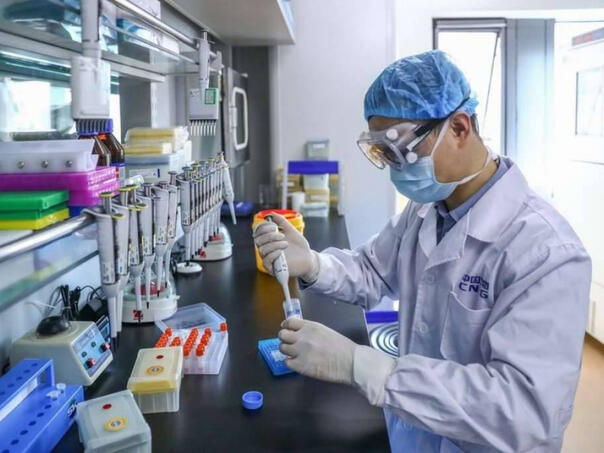 Alarm u regiji: Virus Zapadnog Nila odnio pet života