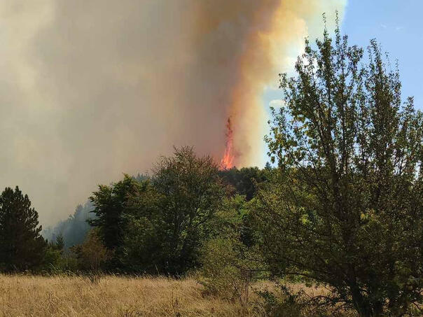 Alarmantna situacija zbog požara u Luci kod Srebrenice