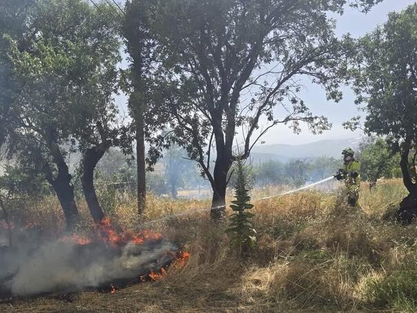 Alarmantno od Portugala do Grčke: Evropa gori
