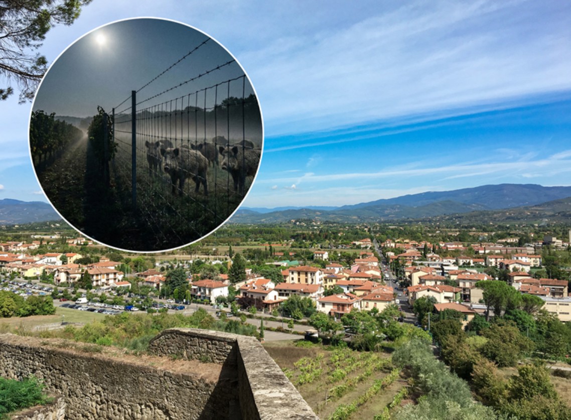 Albanac krenuo u pljačku, pa poginuo na ogradi postavljenoj zbog divljih svinja