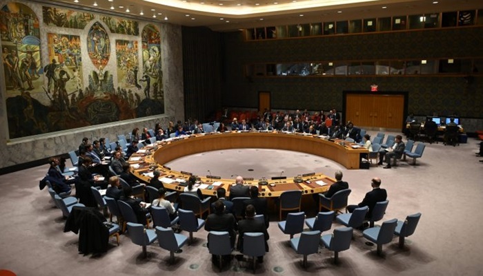 Albanija ušla u Vijeće sigurnosti UN-a