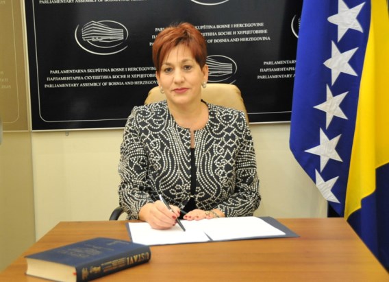 Alma Čolo na video – sjednici Komiteta PSSE za pravne poslove i ljudska prava