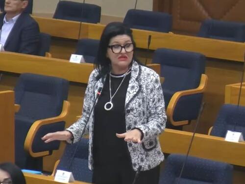 “Alo momak...” ponovo u Skupštini RS: Novi hit Nataše Radulović