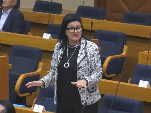 “Alo momak...” ponovo u Skupštini RS: Novi hit Nataše Radulović