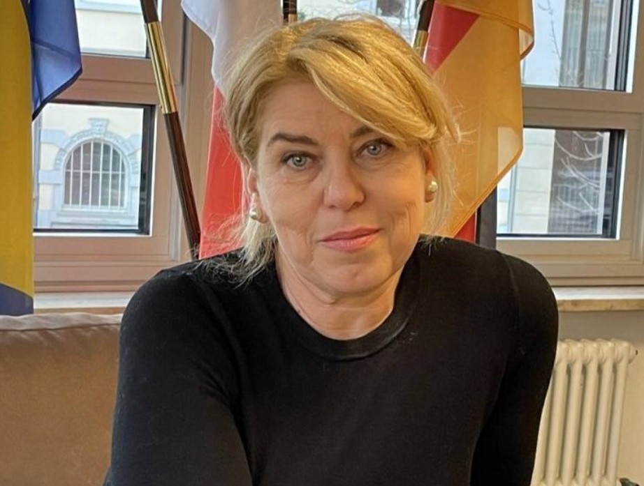 Ambasadorica BiH u Francuskoj: Javljaju nam se ogorčeni građani, CIK ih odbija