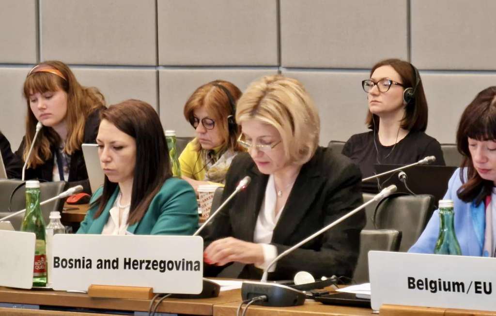 Ambasadorica Savić: Ohrabrujuće poruke za BiH iz sjedišta OSCE-a