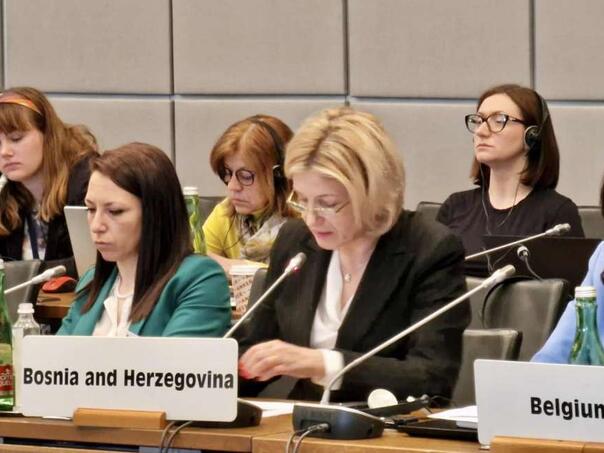 Ambasadorica Savić: Ohrabrujuće poruke za BiH iz sjedišta OSCE-a