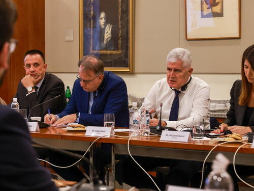 Američka kompanija će graditi i upravljati Južnom interkonekcijom!?