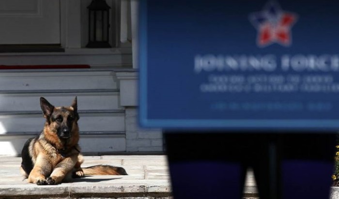 Američki 'prvi psi' stigli u Bijelu kuću