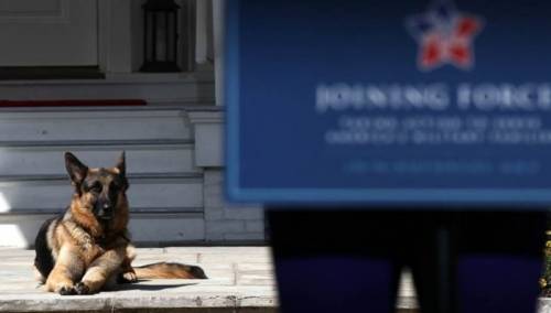 Američki 'prvi psi' stigli u Bijelu kuću