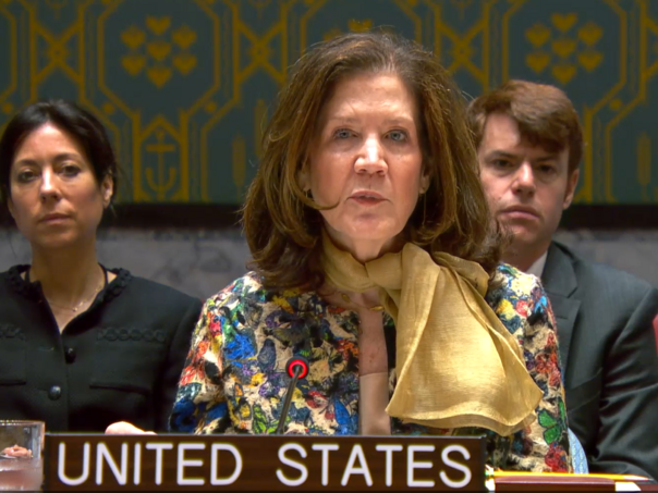 Amerika u Vijeću sigurnosti otkrila zašto je povukla sankcije Dodiku!