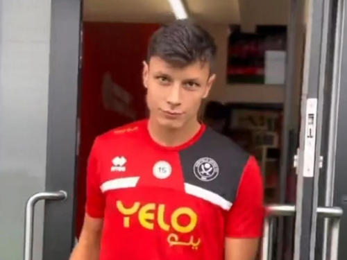 Anel Ahmedhodžić se pojavio na treningu Sheffielda, trener potvrdio da je potpuno spreman