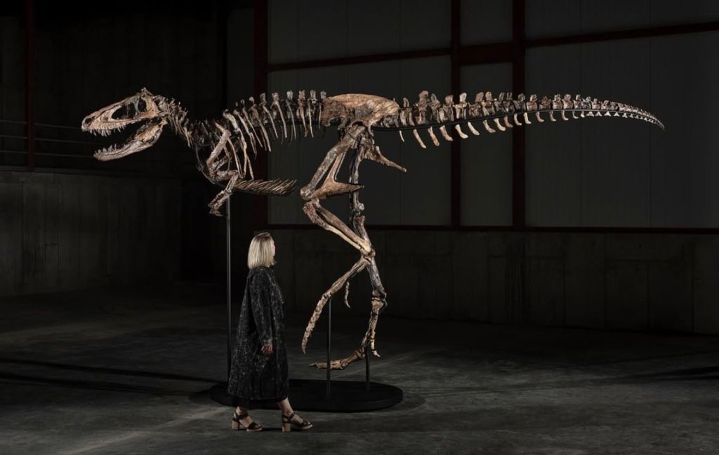 Anonimni kupac otkupio kostur dinosaurusa za 47 miliona dolara