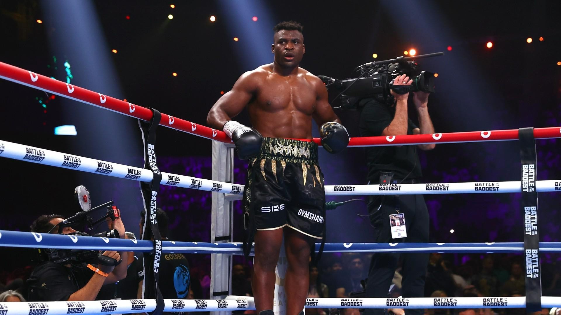 Anthony Joshua borit će se s Francisom Ngannouom!