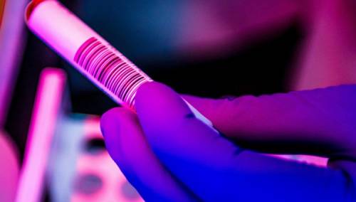 Antitijela na koronavirus ima 6,7 odsto ljudi u Srbiji