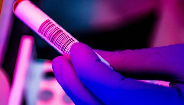 Antitijela na koronavirus ima 6,7 odsto ljudi u Srbiji