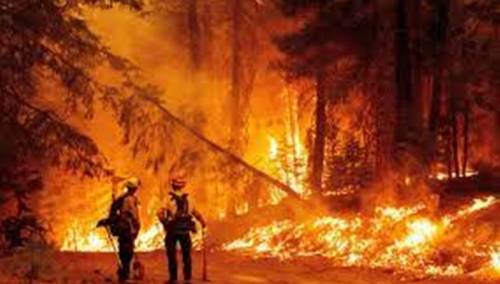 Apel građanima KS za pojačanu opreznost zbog prevencije požara