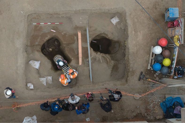 Arheolozi otkrili jaje dinosaurusa staro milion godina