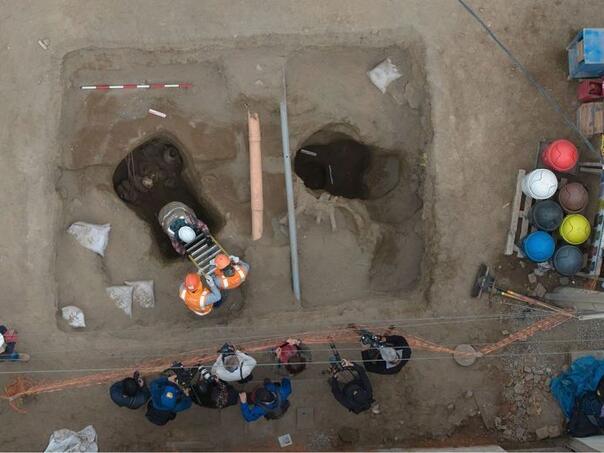 Arheolozi otkrili jaje dinosaurusa staro milion godina