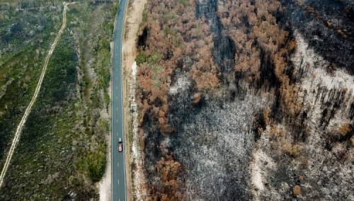 Australija će provesti opsežnu istragu o uzrocima požara