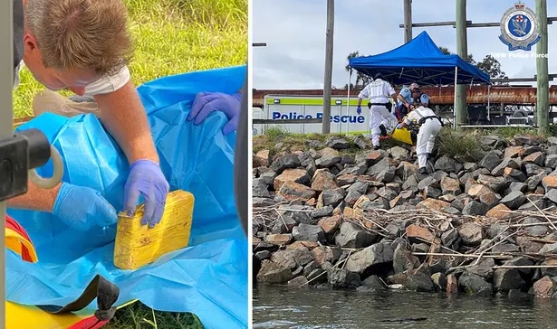 Australijska policija pronašla kokain vrijedan 14 miliona dolara blizu tijela muškarca