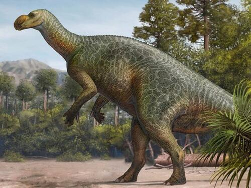 Australska država odabrala fosil dinosaura za svoj službeni grb