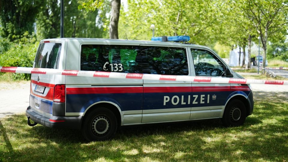 Austrija: 14-godišnji dječak ubio 36-godišnjeg brata sjekirom