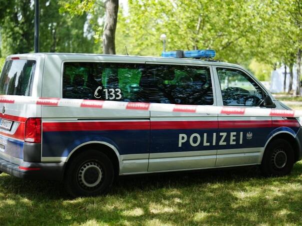 Austrija: 14-godišnji dječak ubio 36-godišnjeg brata sjekirom