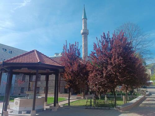 Bajram je dokaz našeg trijumfa i pokazatelj da su pozitivne promjene moguće