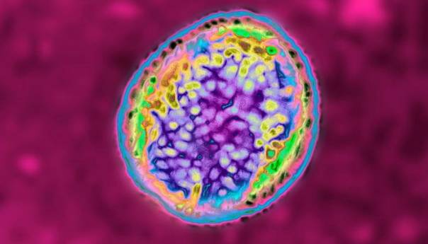 Bakterija pobjegla iz laboratorija u Kini, razboljele se na hiljade ljudi