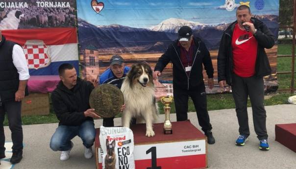 Baraba odnio pobjedu na izložbi tornjaka