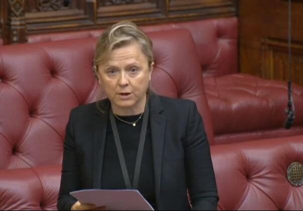 Baronesa Helić: EU se ponižava pred Vučićem